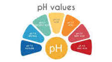 PH Levels